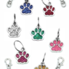 Pingente Pet Patinha Collors Glitter